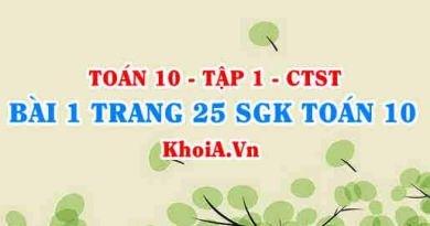 Bài 1 trang 25 SGK Toán 10 tập 1 Chân trời sáng tạo